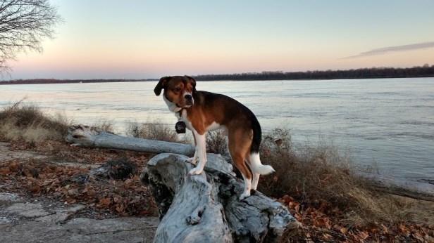 img_20161227_165320209_hdr