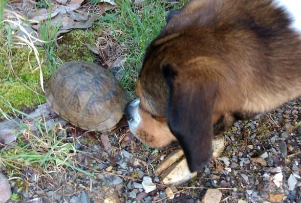 IMG_20170404_094911304