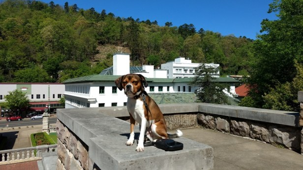 IMG_20170404_105346998