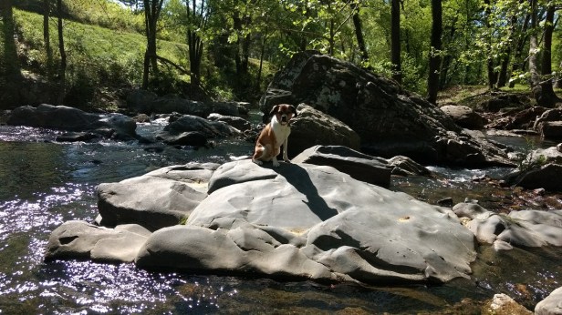 IMG_20170406_104914689