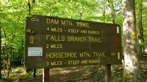 IMG_20170412_093303225