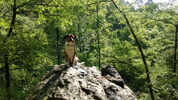 IMG_20170412_094553597