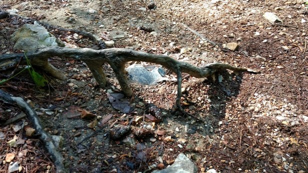 IMG_20170412_095632198