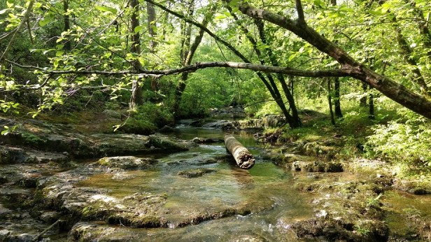 IMG_20170412_100900003