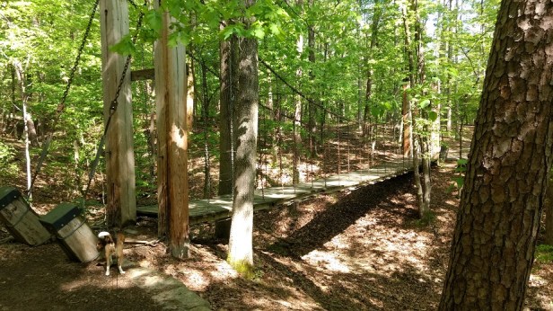 IMG_20170412_103654838