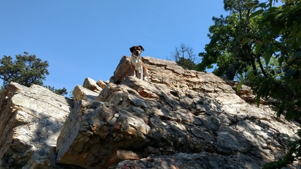 IMG_20170413_103119899